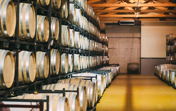 Tecnovino - digitalización bodegas: Orisha Agrifood, plataforma Nora