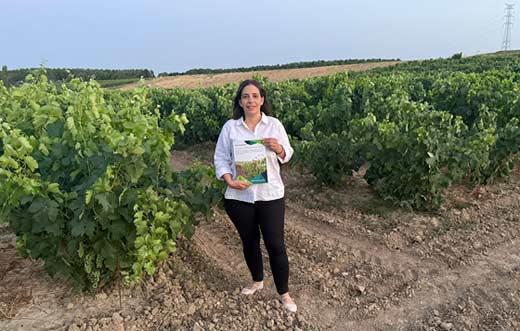 Tecnovino - fertilización foliar urea tempranillo, tesis de Rebeca Murillo, Universidad de La Rioja
