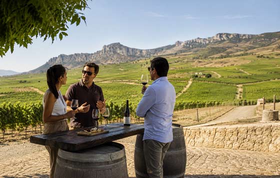 Tecnovino - rentabilizar enoturismo bodegas, Dinamiza Asesores