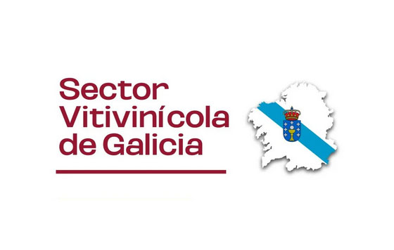 Tecnovino - sector vino Galicia, informe Oive